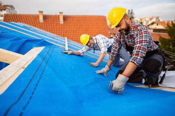 Best Roof Maintenance Services  in Harlowton, MT